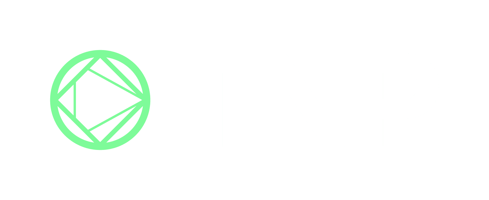 TNP Italia logo